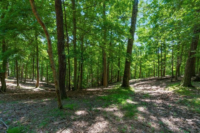58501 Us Highway 50, Home with 0 bedrooms, 0 bathrooms and null parking in Mc Arthur OH | Image 54