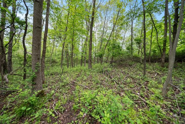 Lt1 County Highway E, Home with 0 bedrooms, 0 bathrooms and null parking in Hartford WI | Image 8