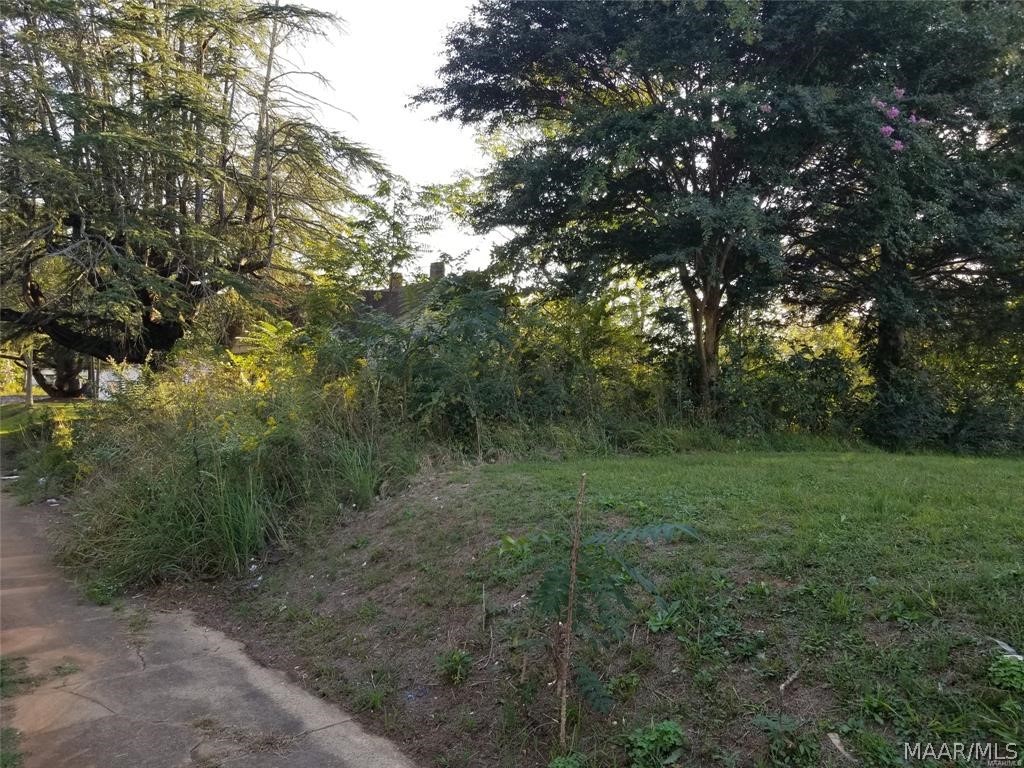 Land in Anniston 5