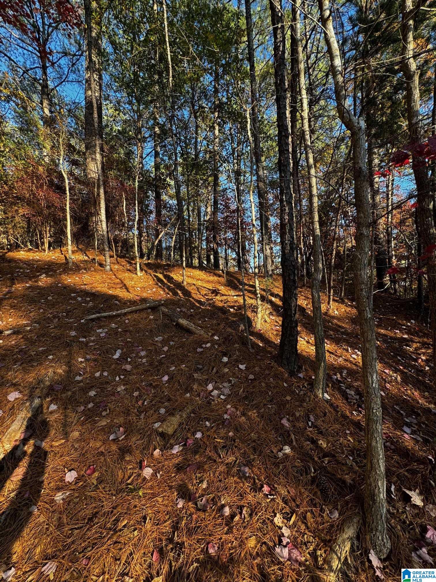 Land in VESTAVIA HILLS 2