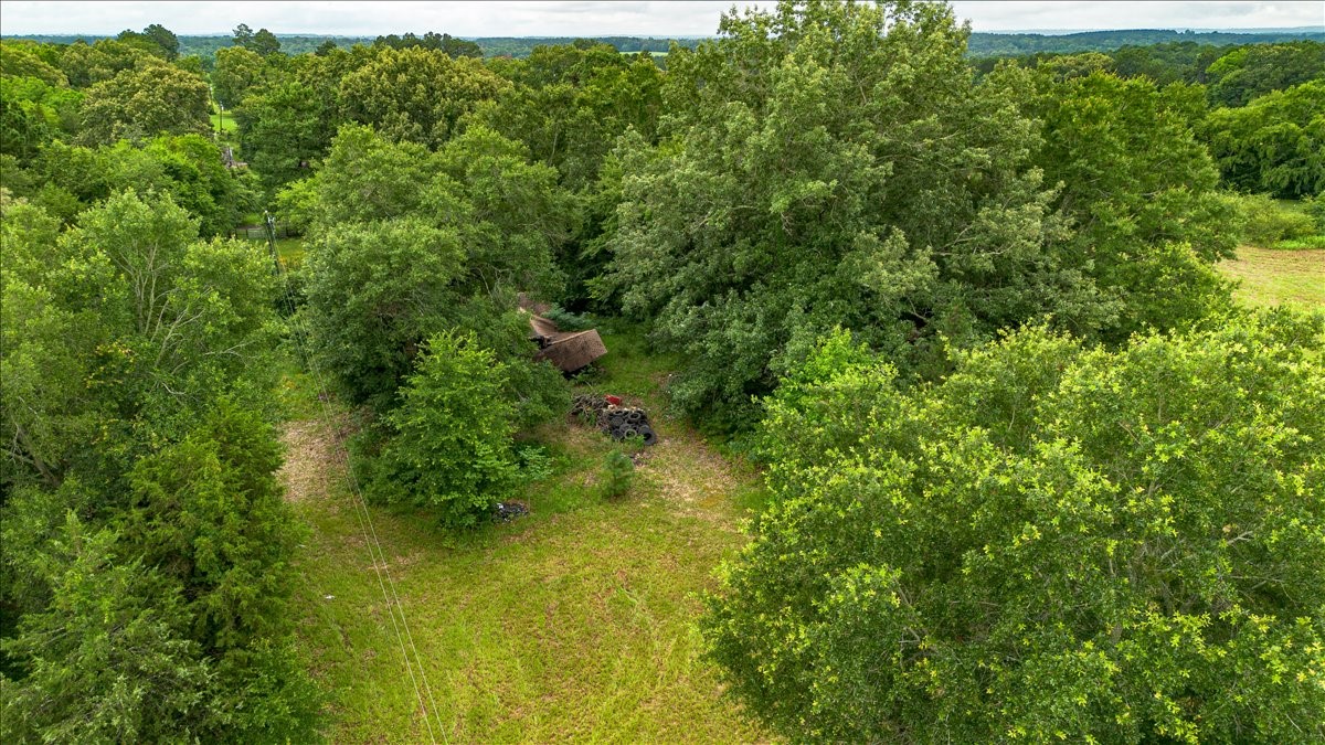 Land in Troup 4