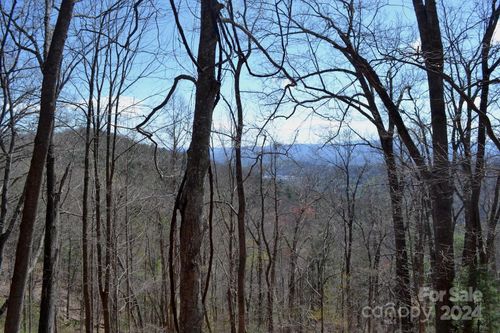 Lot 9 Town Mountain Rd, Asheville, NC, 28804 | Card Image