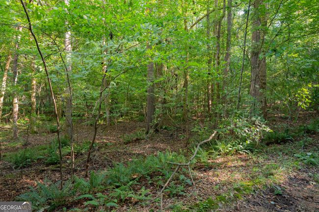 198.62+/- ACRES Apalachee Woods Trl, Home with 0 bedrooms, 0 bathrooms and null parking in Buckhead GA | Image 12