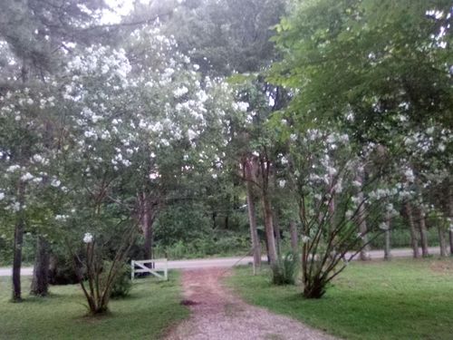 7980 Pleasant Ridge Rd, Arlington, TN, 38002-6903 | Card Image