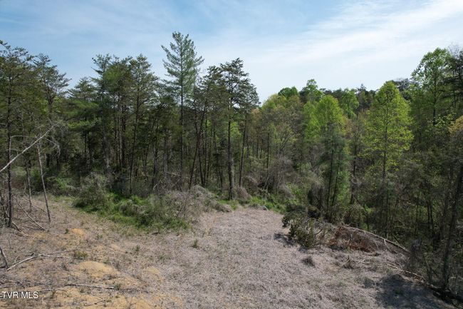 0 Coy Bradley Ln, Home with 0 bedrooms, 0 bathrooms and null parking in Bulls Gap TN | Image 15