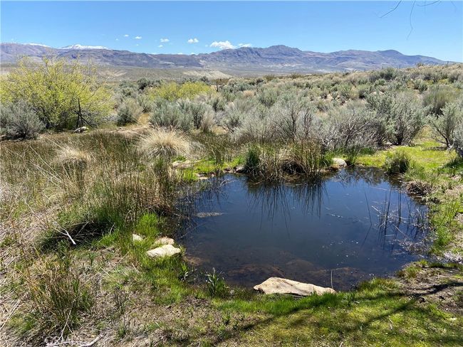 330 Sage Flats Dr, House other with 3 bedrooms, 2 bathrooms and 2 parking in Olancha CA | Image 55