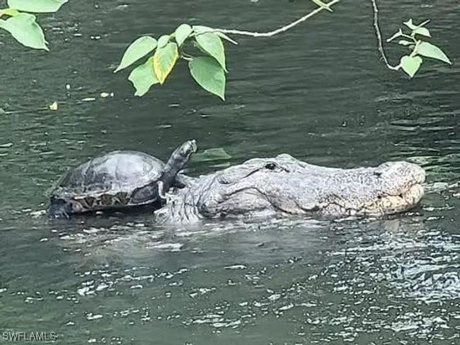 Just Kidding | Image 28