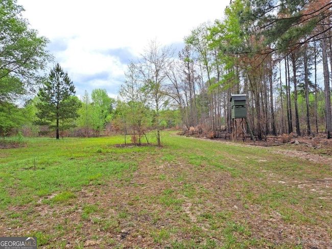6053 Sun Hill Grange Rd, Home with 0 bedrooms, 0 bathrooms and null parking in Davisboro GA | Image 107