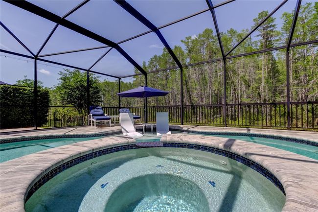 14975 Renaissance Ave, House other with 4 bedrooms, 3 bathrooms and null parking in ODESSA FL | Image 62