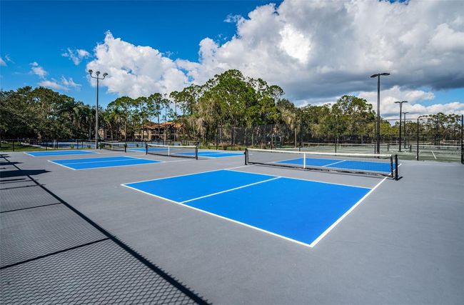 1522 Riverdale Dr, House other with 2 bedrooms, 2 bathrooms and null parking in OLDSMAR FL | Image 45