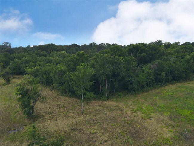 Lot 6 & TBD BTSLP# Emerald Lane, Home with 0 bedrooms, 0 bathrooms and null parking in Corsicana TX | Image 20