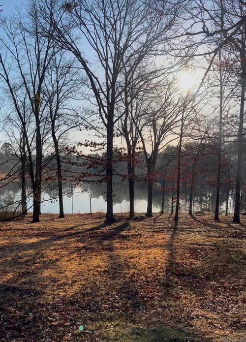 Lots 9 &amp;10 Kip Lane, Clinton, AR, 72031 | Card Image