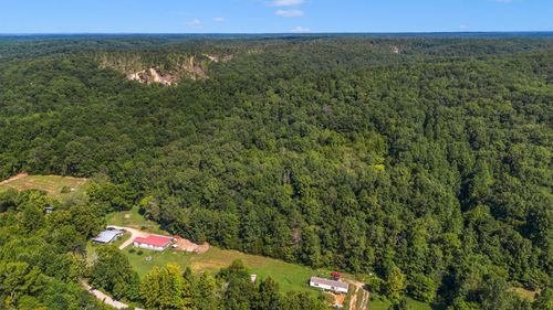 1369 Tanner Hollow Rd, Pleasantville, TN, 37033-2701 | Card Image