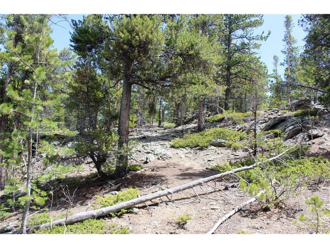 435 Aspen Rd, Home with 0 bedrooms, 0 bathrooms and null parking in Black Hawk CO | Image 21