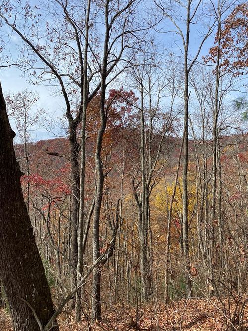 L334 335 Brushy Top Rd, Ellijay, GA, 30540-4244 | Card Image