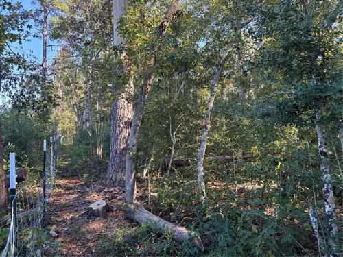 0 L C Herschap Ln, Livingston, TX, 77351 | Card Image