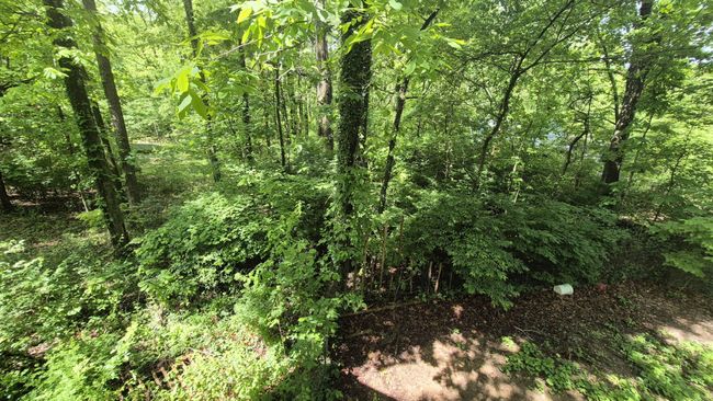 405 Spring St, House other with 3 bedrooms, 2 bathrooms and null parking in Monteagle TN | Image 21