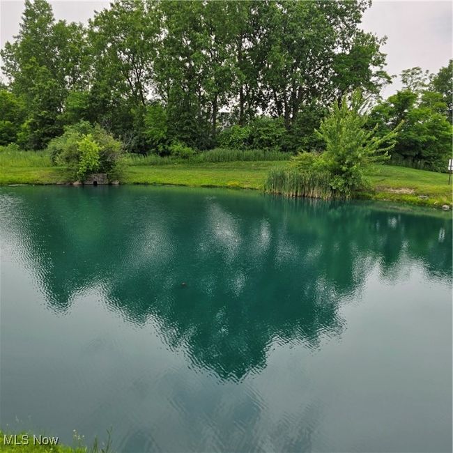 APT-101 - 23002 Chandlers Ln, Condo with 1 bedrooms, 1 bathrooms and null parking in Olmsted Falls OH | Image 15