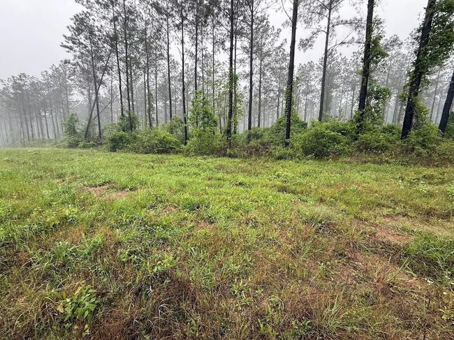 0 Richardson Rd E, Home with 0 bedrooms, 0 bathrooms and null parking in Livingston TX | Image 48