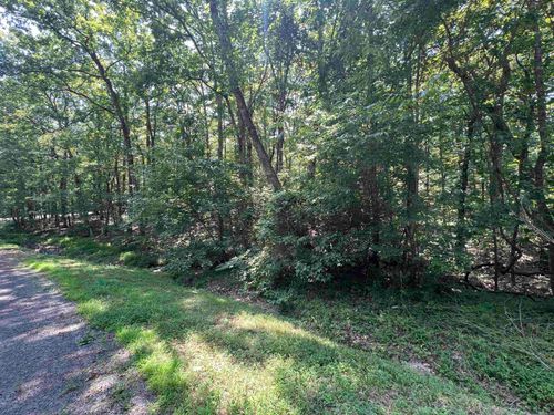 00 Castle Arms Pl, Fairfield Bay, AR, 72088 | Card Image