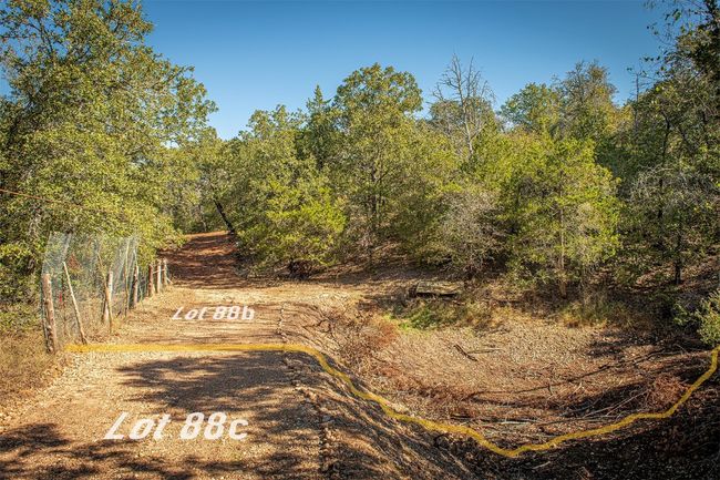 88C - 510 Thousand Oaks Dr, Home with 0 bedrooms, 0 bathrooms and null parking in Cedar Creek TX | Image 9