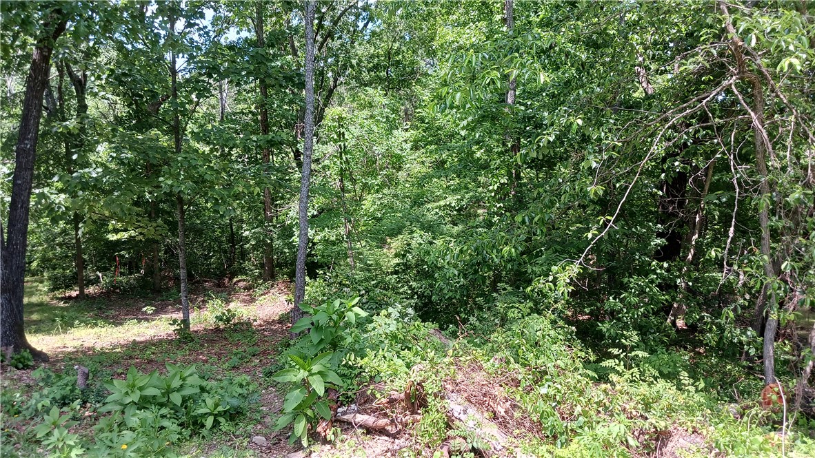 Land in Bella Vista 5