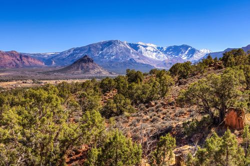 95-95 Bailey Ln, Castle Valley, UT, 84532-9622 | Card Image