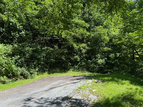 57 Mossy Cup Ct. Court, Tuckasegee, NC, 28783 | Card Image