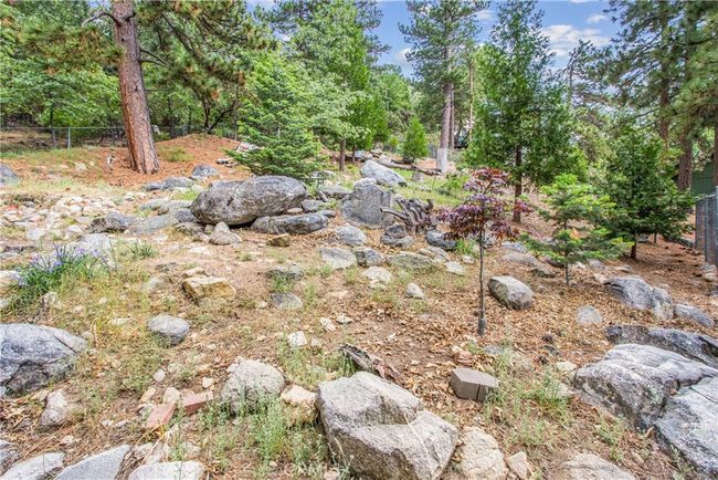 fenced off second lot, perfect for pets :) | Image 33