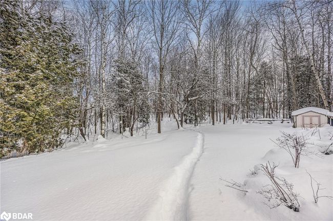 11 Maple Crt, House other with 3 bedrooms, 3 bathrooms and 8 parking in Coldwater ON | Image 44