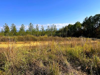 Views to the southeast from the property | Image 2