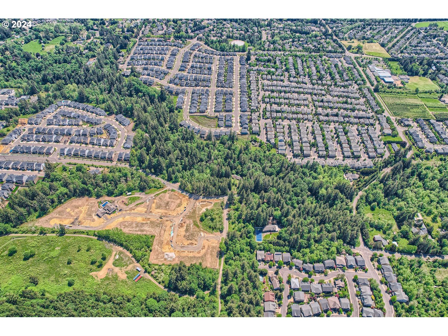 Land in Portland 3