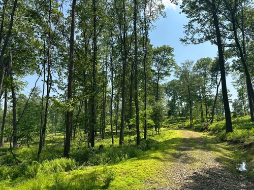 6B Turkey Hollow Rd, Sigel, PA, 15860 | Card Image