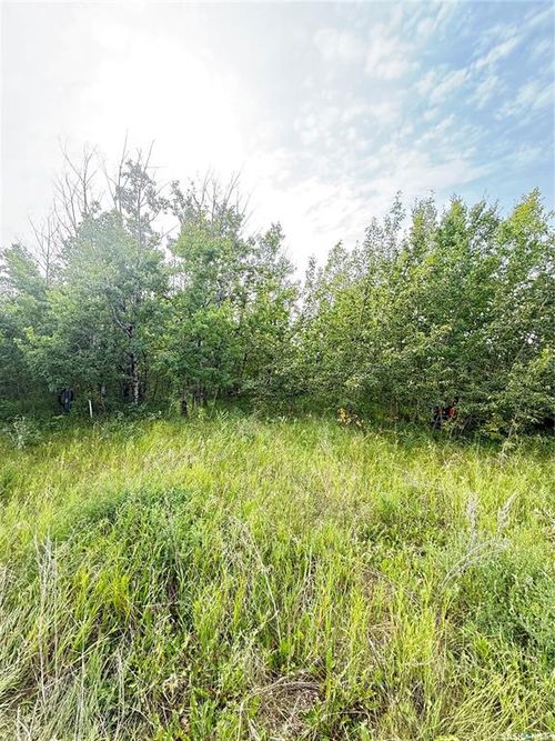 Lot 4 Wakonda Heights, Hoodoo Rm No. 401, SK, S0K4P0 | Card Image