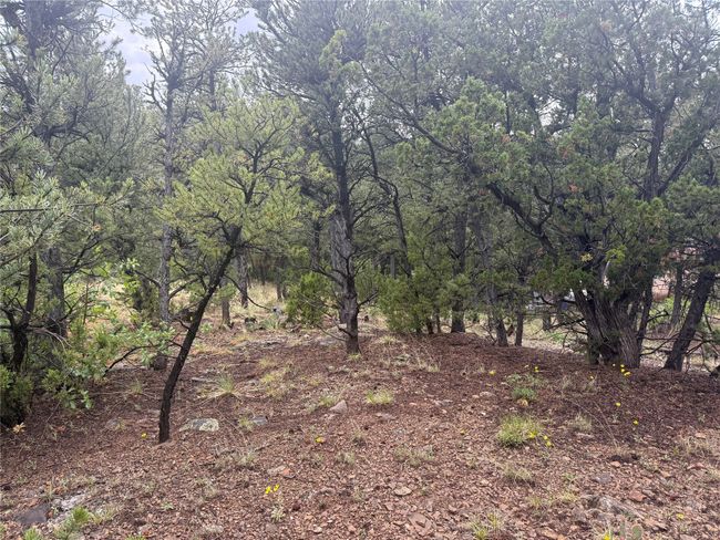 1 N Main St, Home with 0 bedrooms, 0 bathrooms and null parking in Pecos NM | Image 5