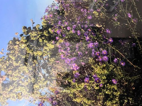 XX Findlay St Ne, Rio Rancho, NM, 87144 | Card Image