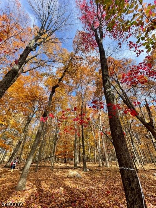 924 Middleville Rd, Newton, NJ, 07860-4237 | Card Image