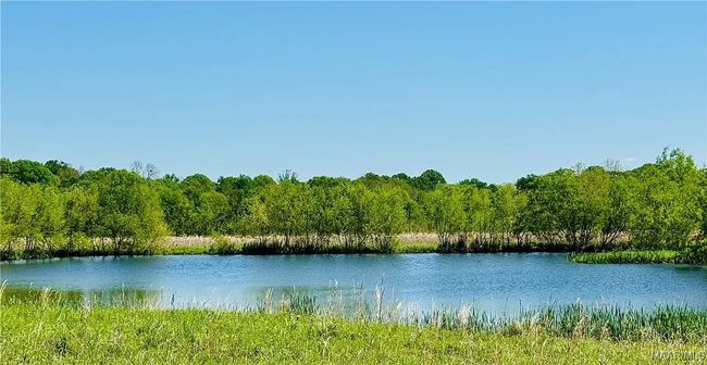 344 Dani Ln, Home with 0 bedrooms, 0 bathrooms and null parking in Mathews AL | Image 18