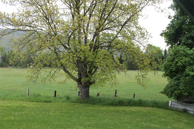 View of grassy yard | Image 13
