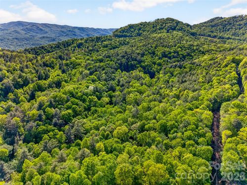 451 Signal Tree Rd, Deep Gap, NC, 28618-9458 | Card Image