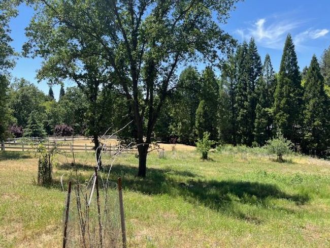 0 Crest View Dr, Home with 0 bedrooms, 0 bathrooms and null parking in Murphys CA | Image 41