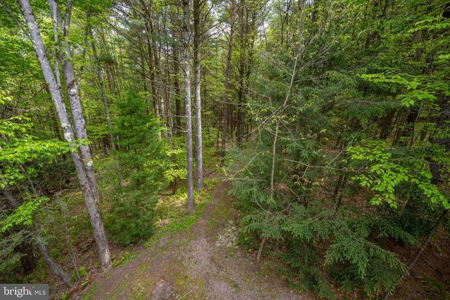 532 Pine Grove Rd, House other with 4 bedrooms, 4 bathrooms and null parking in LONACONING MD | Image 16