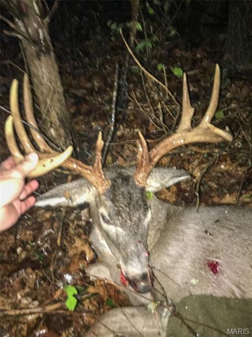 0 Diamond School Rd, Grubville, MO, 63041 | Card Image