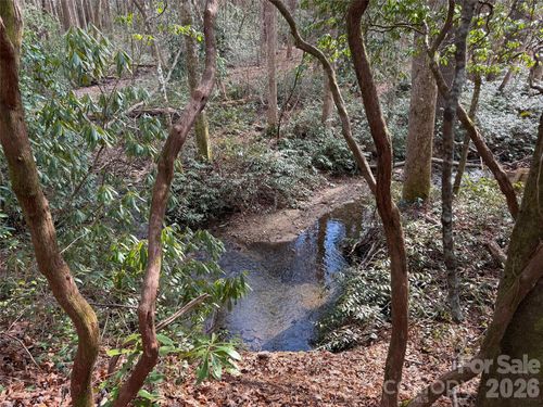 l-12-TBD Cherrywood Lane, Pisgah Forest, NC, 28768 | Card Image