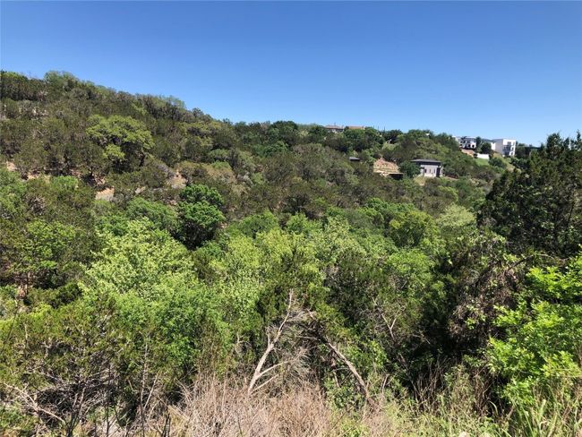View of nature with a forest view | Image 9