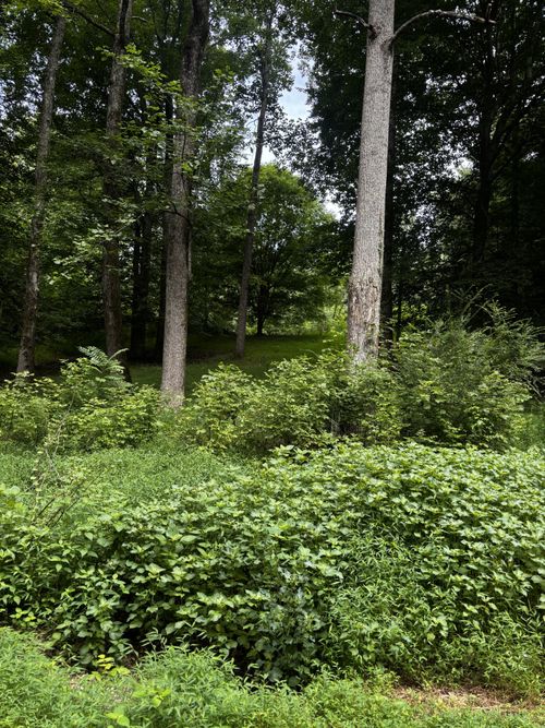 420 Shepherd Hollow Rd, Indian Mound, TN, 37079 | Card Image