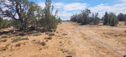 TBD Cr5532, Concho, AZ, 85924 | Card Image