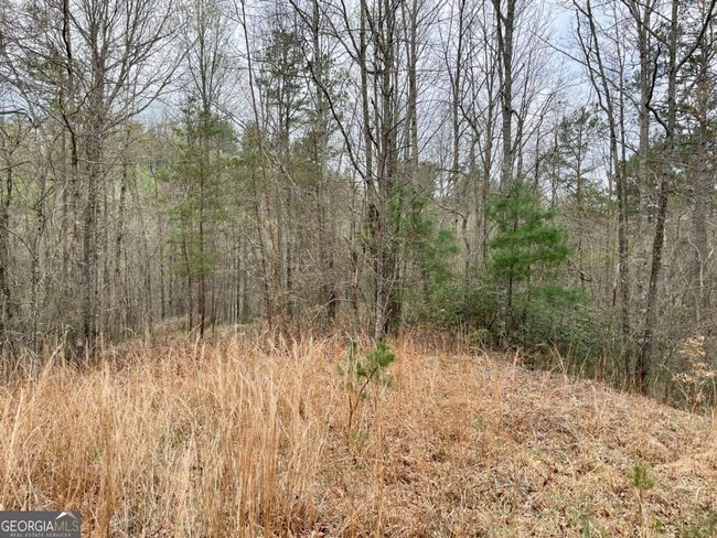 0 Mountain Ridge Dr, Home with 0 bedrooms, 0 bathrooms and null parking in Dahlonega GA | Image 14