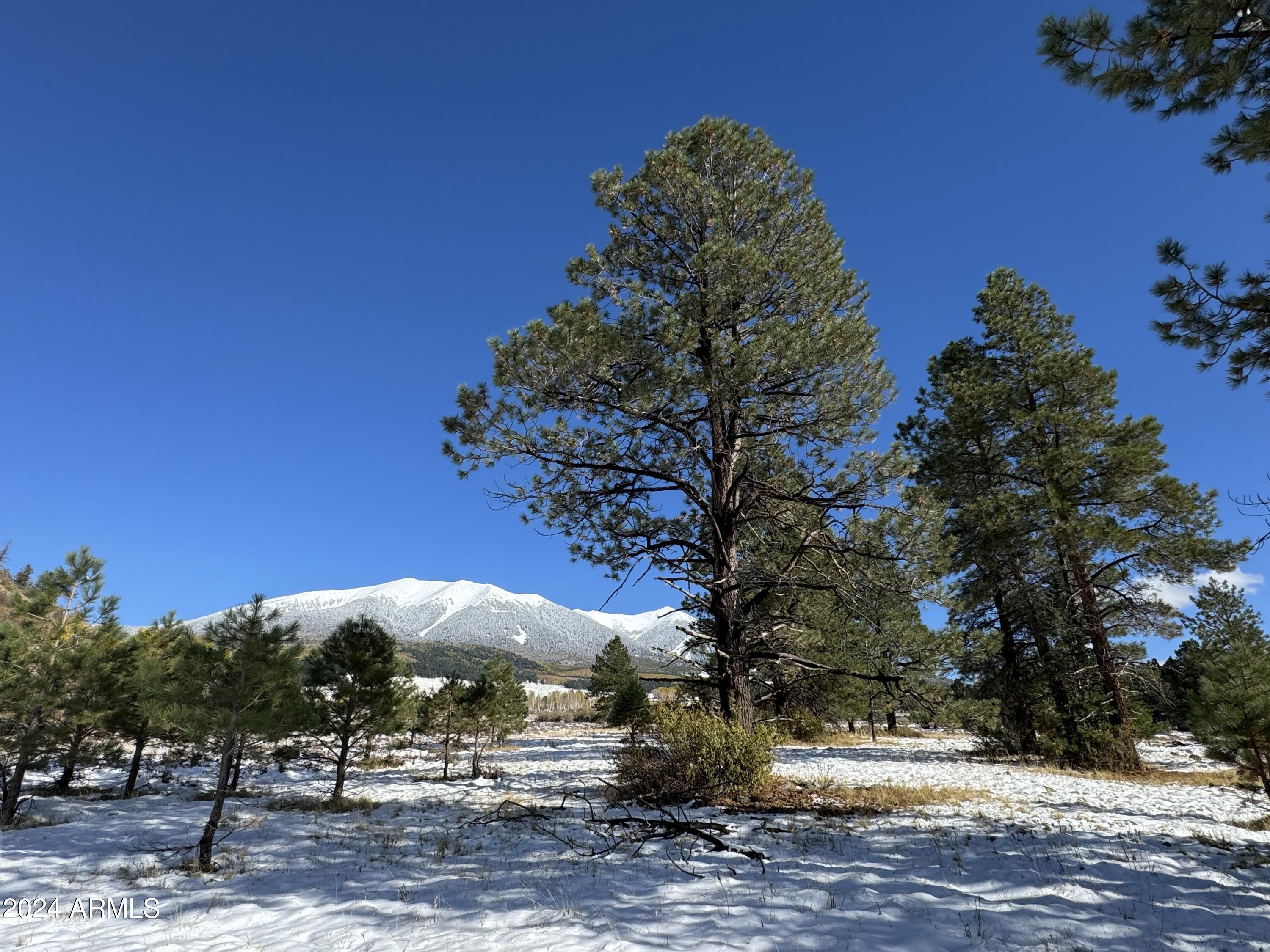 Land in Flagstaff 5