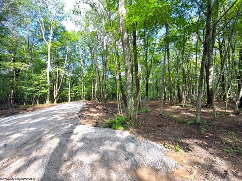 1261 Beaver Creek Dr, Bruceton Mills, WV, 26525 | Card Image